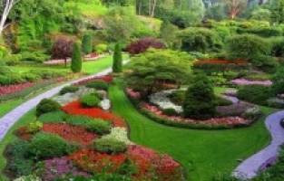 Pandemide doğayı balkona taşıdık