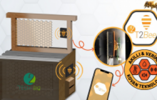 Kadın girişimi Tech2bio arıcılığa yeni bir soluk getirmeye hazırlanıyor